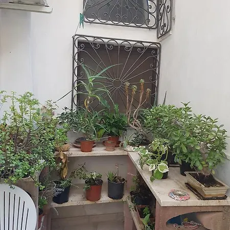 Casa Vacanza Alba 아파트